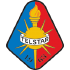 Telstar 1963 badge