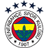 Fenerbahçe SK badge