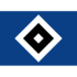Hamburger SV badge