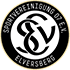 SV 07 Elversberg badge